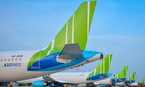 BCTC hợp nhất 2020: FLC lãi trên 420 tỷ đồng, vượt xa kế hoạch năm