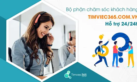 CV tiếng Anh timviec365.com.vn - vũ khí xin việc 'trúng phóc'
