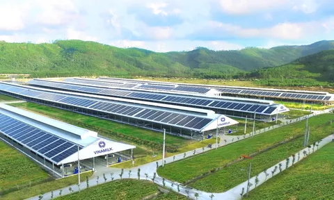 Năng lượng Mặt Trời được triển khai trên toàn bộ hệ thống các trang trại của Vinamilk