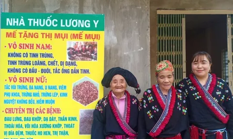 Thuốc chữa vô sinh Mế Mụi có tốt không?