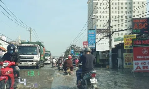 Các tỉnh khu vực Đồng bằng sông Cửu Long: Xây dựng kịch bản lâu dài ứng phó thiên tai