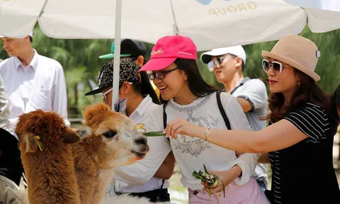 Doanh nghiệp lữ hành, hàng không bàn cách cất cánh du lịch trong 'bình thường mới'