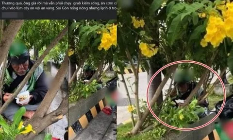 Nghẹn ngào hình ảnh bác xe ôm già ngồi dưới gốc cây ăn vội hộp cơm dưới trời nắng Sài Gòn