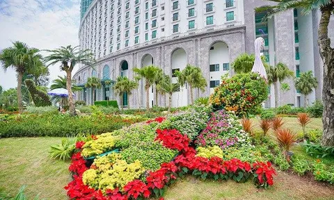 Thưởng thức ngàn hoa khoe sắc trên đồi cao tại lễ hội hoa Hạ Long 