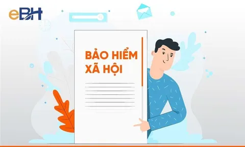 Ma trận phần mềm bảo hiểm - Đâu là lựa chọn tốt nhất cho doanh nghiệp?
