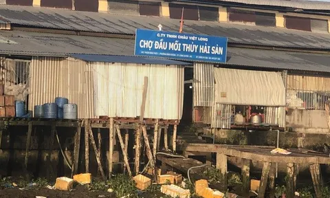 An Giang: Cần xử lý nghiêm việc Chợ đầu mối Thủy Hải Sản xả thải trực tiếp ra sông Hậu