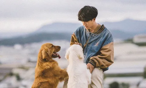 Chàng trai miền Tây bỏ quê lên Đà Lạt lập nghiệp bằng nghề nhiếp ảnh