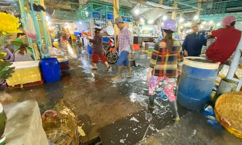 Quá nhiều bất ổn, vì sao chợ đầu mối thủy hải sản ở An Giang vẫn hoạt động?