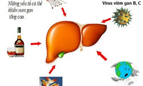 Lương y Trần Văn Linh tư vấn cách điều trị tận gốc bệnh men gan cao