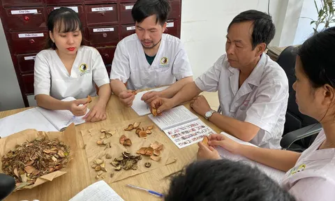Tinh trùng vón cục cần chữa trị sớm nếu không muốn bị vô sinh