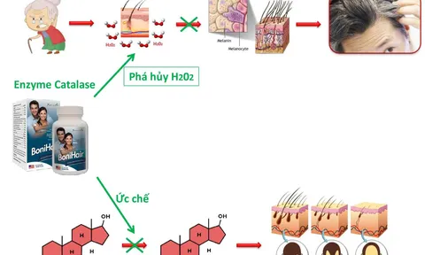 BoniHair - Bí quyết khôi phục mái tóc đen bóng tuổi thanh xuân