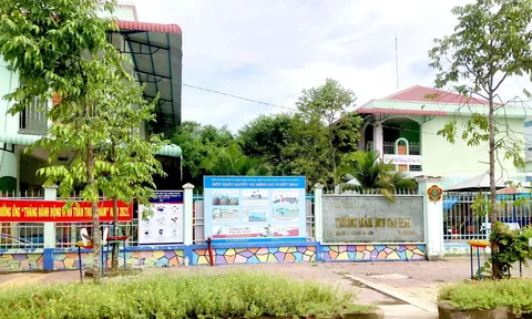 TP. Cần Thơ: Cần làm rõ việc Trường Mầm non Sao Mai cho trẻ ăn bánh canh có mùi chua