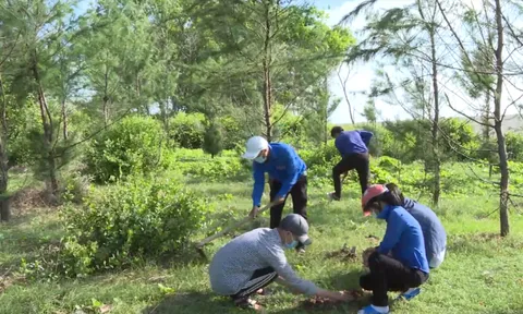 Tiền Giang: Điểm sáng trong mùa dịch Covid-19