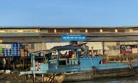 An Giang: Xử phạt 370 triệu đồng, tạm ngưng chợ đầu mối thủy hải sản vì xả thải trái phép