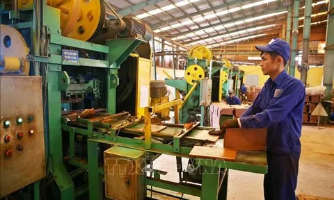 Gạch lát Clinker: Vật liệu xanh, thân thiện môi trường
