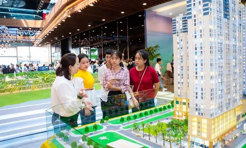 NovaGroup: Nhà tuyển dụng đặc biệt của sinh viên Nova College