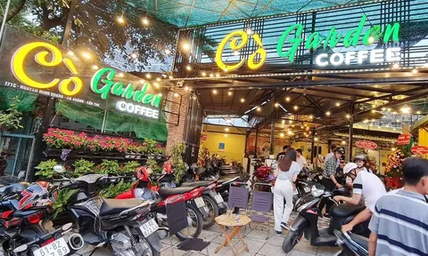 TP Cần Thơ: Những nốt nhạc xanh trong Cò Garden Coffee