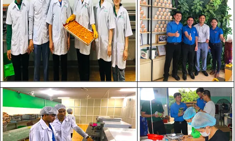 Chuẩn 4 sao mở lối cho loạt đặc sản hạt điều Bình Phước vươn ra thế giới