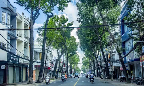 TP Cần Thơ: Ngày đầu thực hiện giãn cách xã hội theo Chỉ thị 16 và Chỉ thị 15 của Thủ tướng Chính phủ