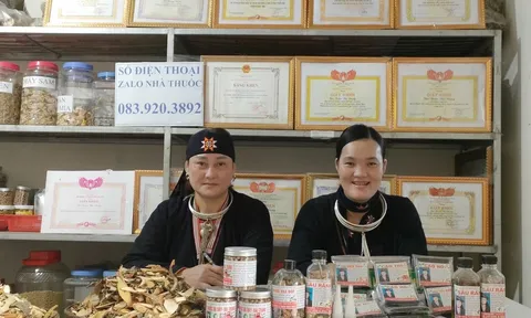 Bà Triệu Thị Dung và con gái Dương Thị Lệ phát triển nghề thuốc nam gia truyền