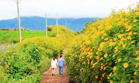 Lên rừng hay xuống biển hậu Covid – 19: Cơ hội hiếm có cho những điểm đến mới 