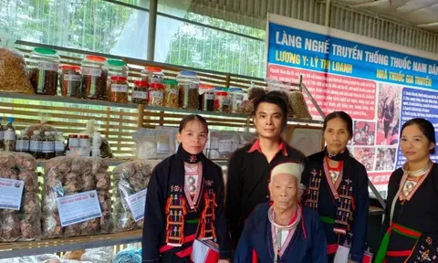 Chị Lý Thị Loanh tâm huyết với nghề thuốc nam gia truyền của dân tộc