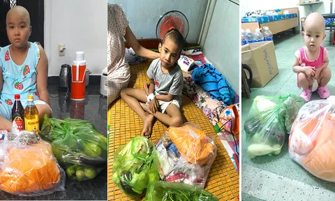 Từ Úc, người Việt mê sen đá cùng góp tiền giúp bệnh nhân ung thư và đồng bào vùng dịch 
