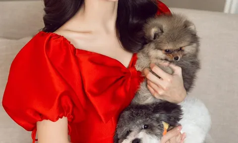 MC Sam bức xúc với ban quản lý chung cư vì thú cưng bị gọi là gia súc