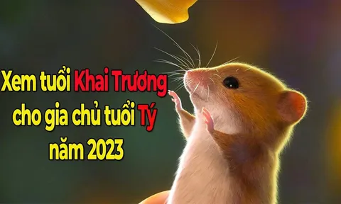 Xem ngày khai trương cho gia chủ tuổi Tý Tết Quý Mão 2023 tốt nhất, đẹp nhất