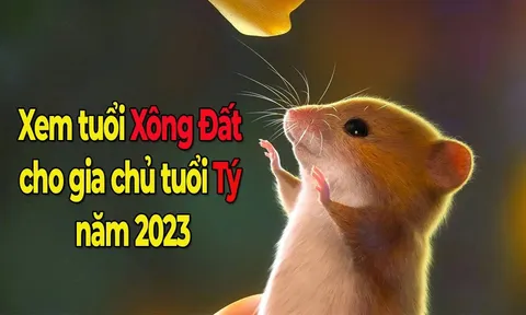 Xem tuổi xông đất cho gia chủ tuổi Tý năm 2023: Canh Tý, Nhâm Tý, Giáp Tý, Bính Tý
