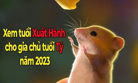 Xem tuổi xuất hành cho gia chủ tuổi Tý Tết Quý Mão 2023