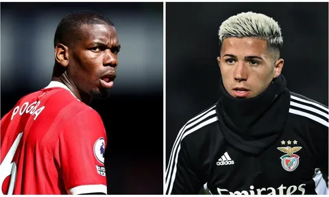 Enzo Fernandez có thể giống Paul Pogba ở Man United