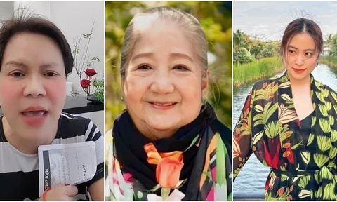 Sao Việt 20/2: Việt Hương bất ngờ bị tố lừa đảo, Hoàng Thùy Linh báo tin vui ở tuổi 34 hậu ồn ào đời tư