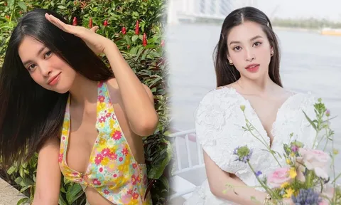 Hoa hậu Tiểu Vy khoe nhan sắc e ấp khiến dân tình khó lòng rời mắt
