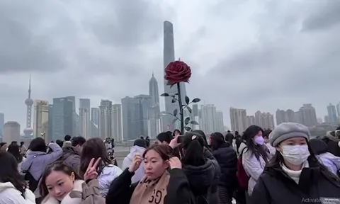 Video: Mô hình hoa hồng khổng lồ thu hút nhiều người chụp ảnh dịp Valentine