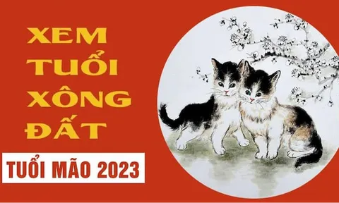 Chủ nhà tuổi Mão chọn người xông đất, xông nhà năm 2023 Quý Mão để vạn sự hanh thông