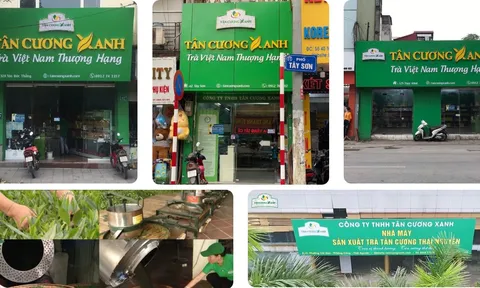 Trà Thái Nguyên nổi tiếng