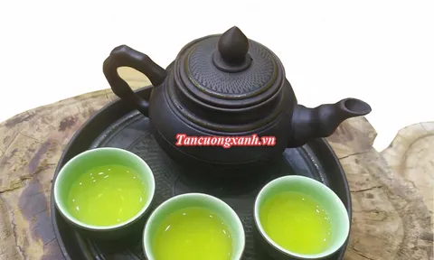 Đặc sản trà Thái Nguyên ngon Tân Cương Xanh