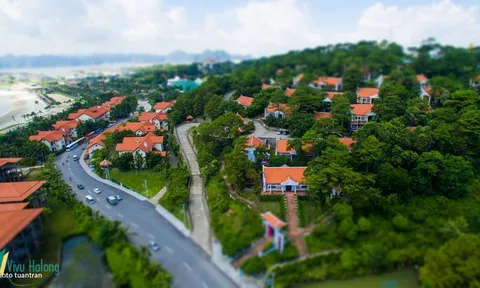 Thương nhớ ngói xưa