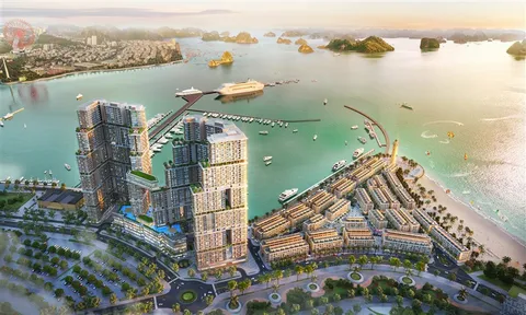 Điểm nhấn làm nên giá trị độc bản chỉ có ở Sun Marina Town Hạ Long