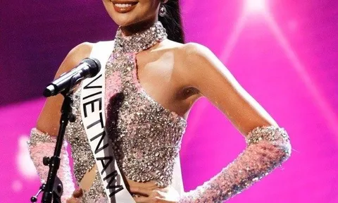 Ngọc Châu trở về Việt Nam sau khi out top 16 Miss Universe 2022, người hâm mộ có thái độ bất ngờ