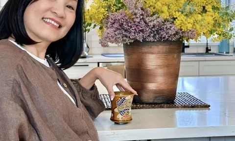 Cuộc sống sang chảnh của Hồng Đào sau nhiêu năm ly hôn với Quang Minh