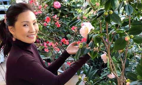 Bất ngờ trước cơ ngơi của Hồng Đào tại Mỹ sau khi ly hôn Quang Minh