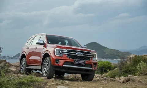 Ford Việt Nam báo lãi gần 120 tỷ trong năm 2022, tăng vụt 220% so với năm trước
