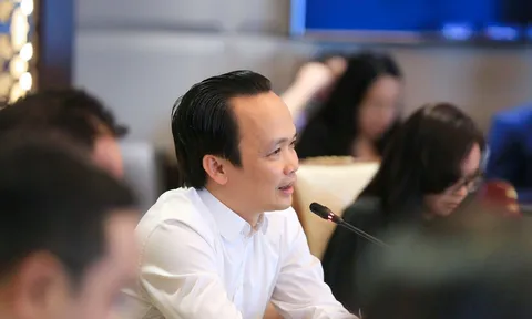 Lãnh đạo cấp cao FLC - FPT bàn cơ hội hợp tác