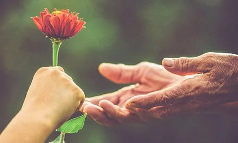 Top 3 con giáp nhiều phước đức, không may mắn đường tình thì cũng thuận lợi đường tiền
