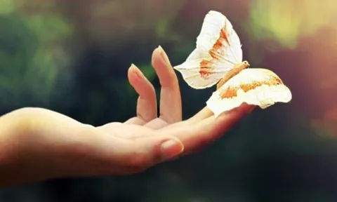 Cổ nhân đúc kết: Nhìn 5 điểm này trên bàn tay biết ngay chủ nhân số phú quý hay bần hàn