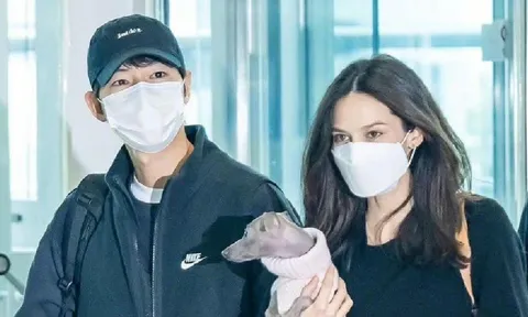 Lên tiếng bênh vợ, Song Joong Ki lại chọc giận CDM vì 'giả tạo'
