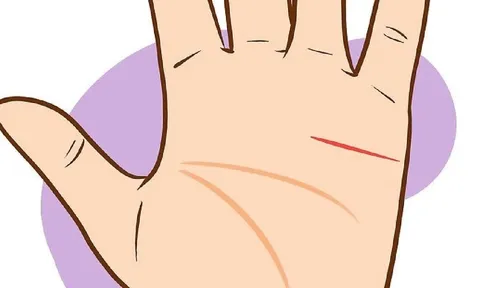 Được trời ban phước: Lòng bàn tay có 3 đặc điểm này thì chỉ số EQ rất cao, đi đâu cũng được người yêu kẻ mến