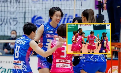 Nhận diện đối thủ của Thanh Thúy và đội bóng chuyền PFU BlueCats ngày 28/1